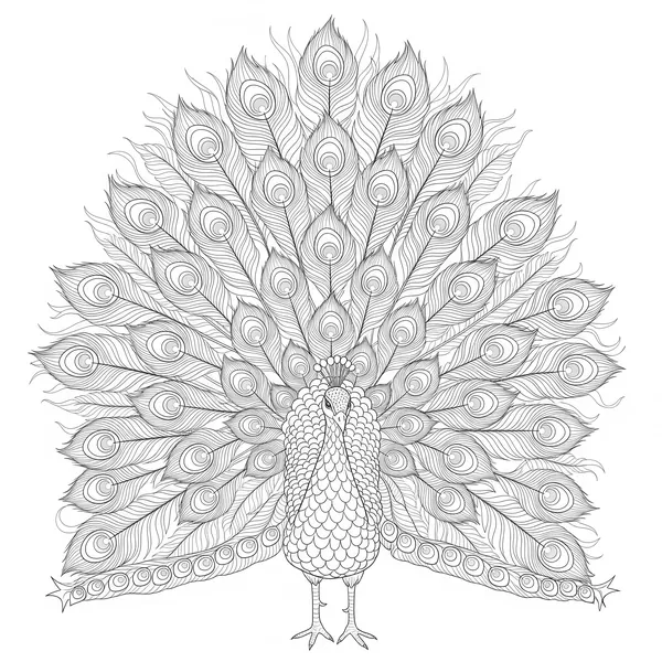 Peacock with a detailed feathered tail to color