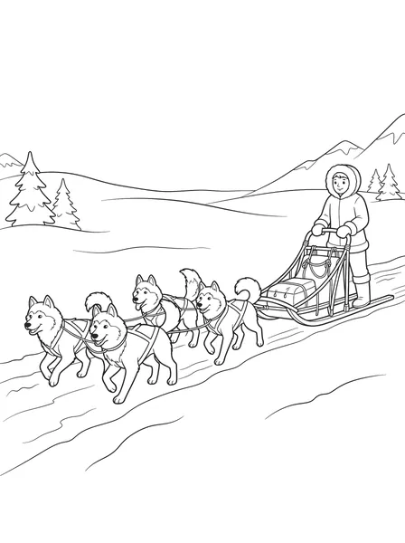 Dog Sled Race