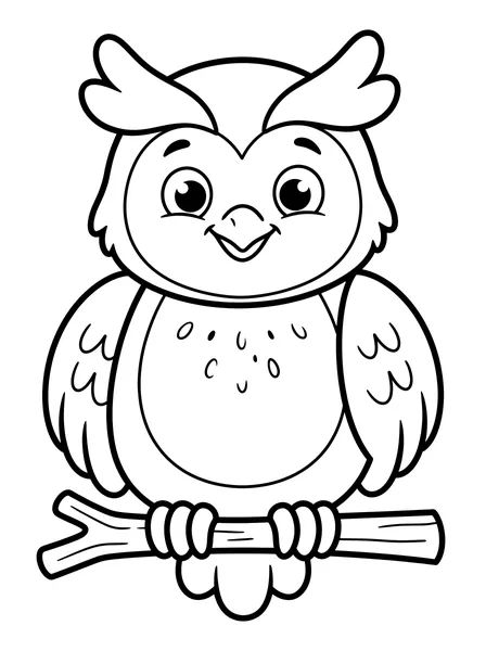 Cute Baby Owl