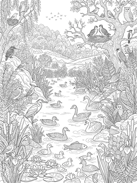 Lake Bird Sanctuary