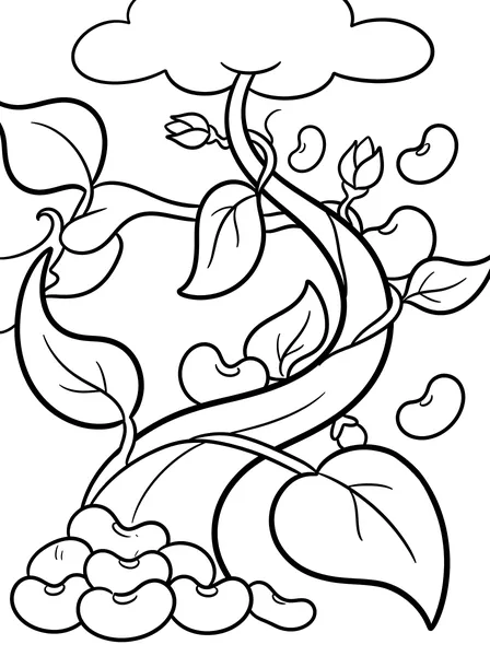 Magic Beans and Beanstalk