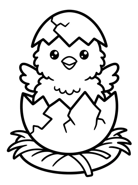 Baby Chick Hatching