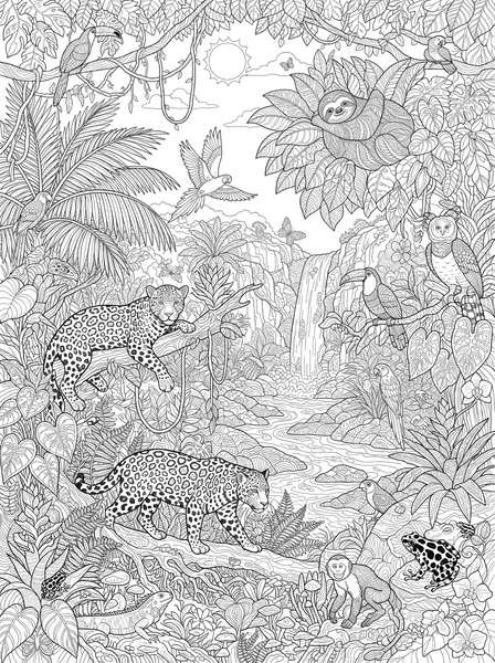 Rainforest Wildlife coloring page
