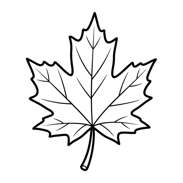 Autumn Leaf