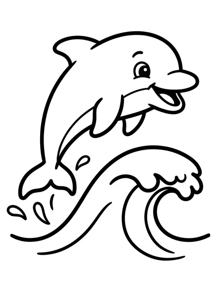Playful Dolphin