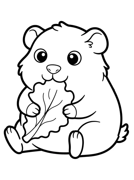 Guinea Pig Eating Lettuce