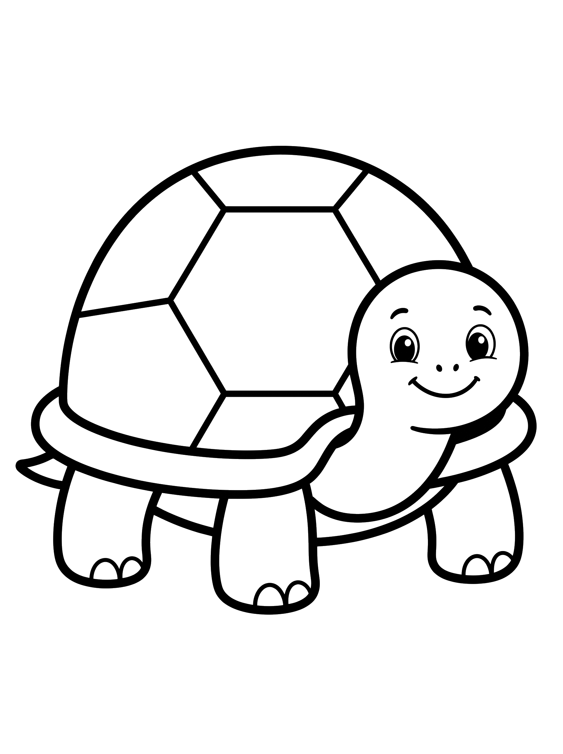 Little Pet Turtle coloring page