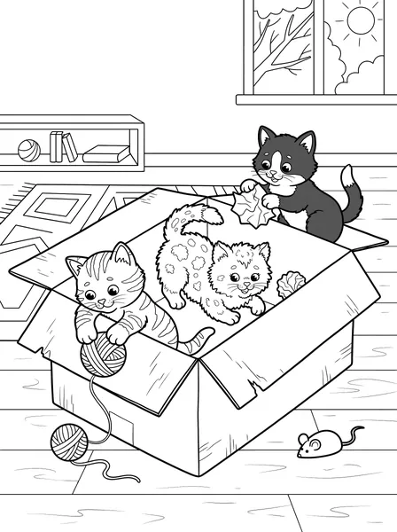 Three Kittens in a Box